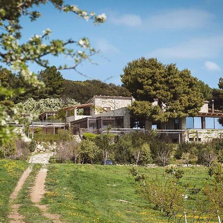 Masseria Agriturismo Torre Di Albidona Trebisacce Eksteriør billede