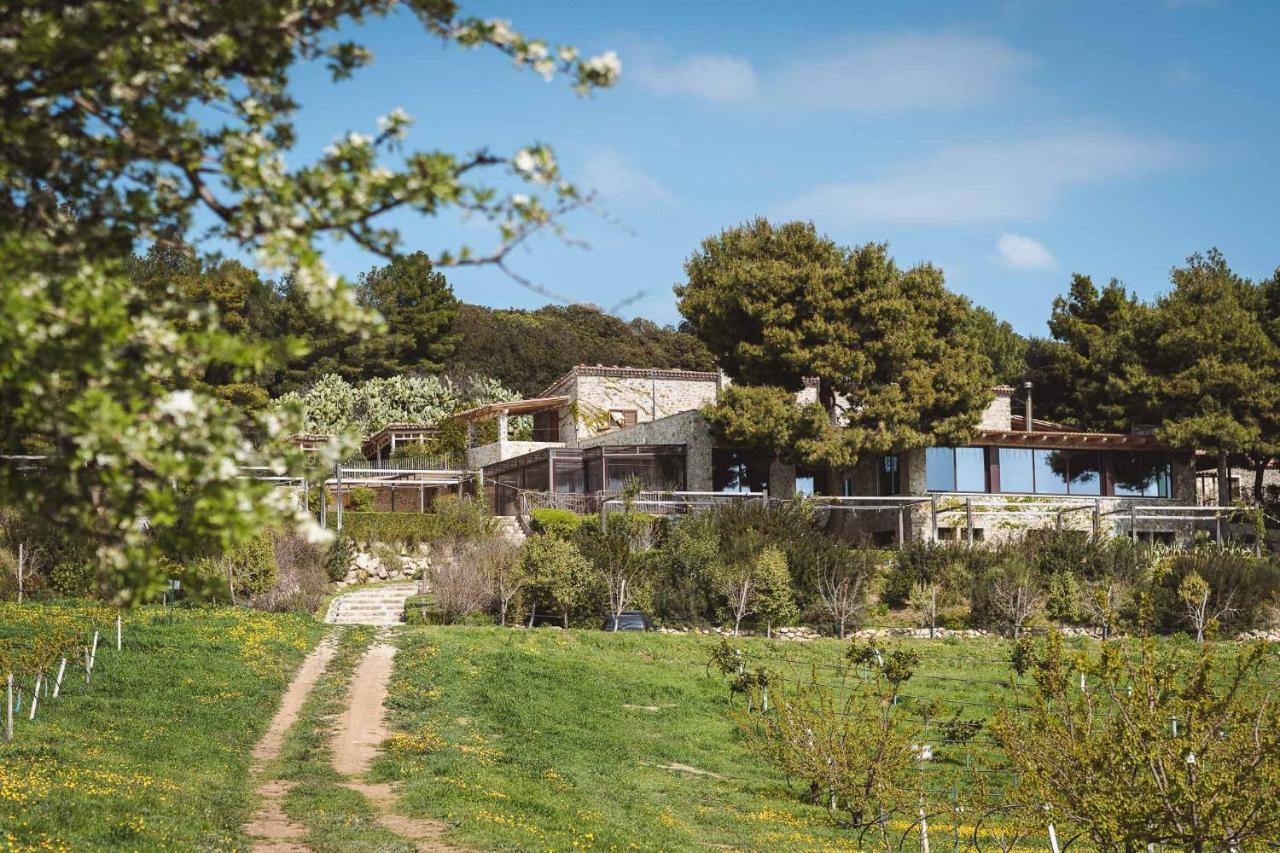 Masseria Agriturismo Torre Di Albidona Trebisacce Eksteriør billede