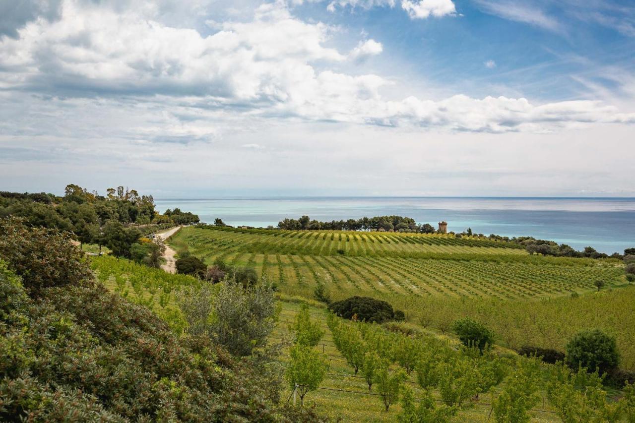 Masseria Agriturismo Torre Di Albidona Trebisacce Eksteriør billede