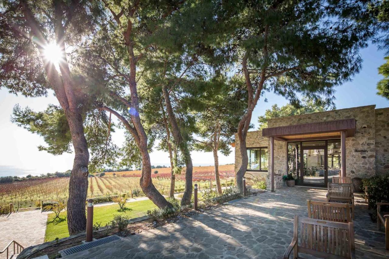 Masseria Agriturismo Torre Di Albidona Trebisacce Eksteriør billede